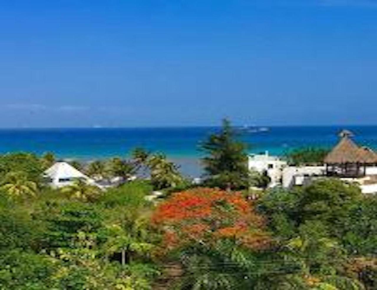 Acanto Hotel Playa Del Carmen, Trademark Collection By Wyndham Dış mekan fotoğraf